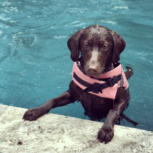 Fundraising Page: Shelby Brookfield